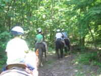 IMG_5459.JPG
